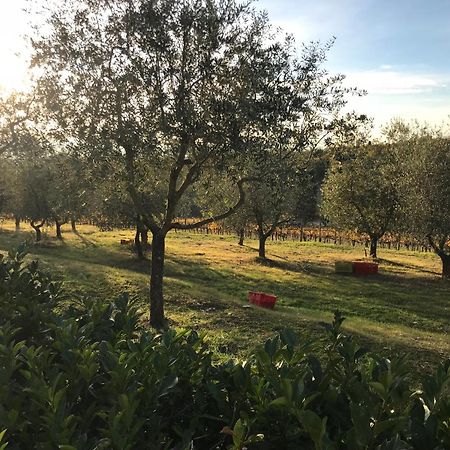 Il Villino Farmhouse 卡斯特利纳－因基安蒂 外观 照片