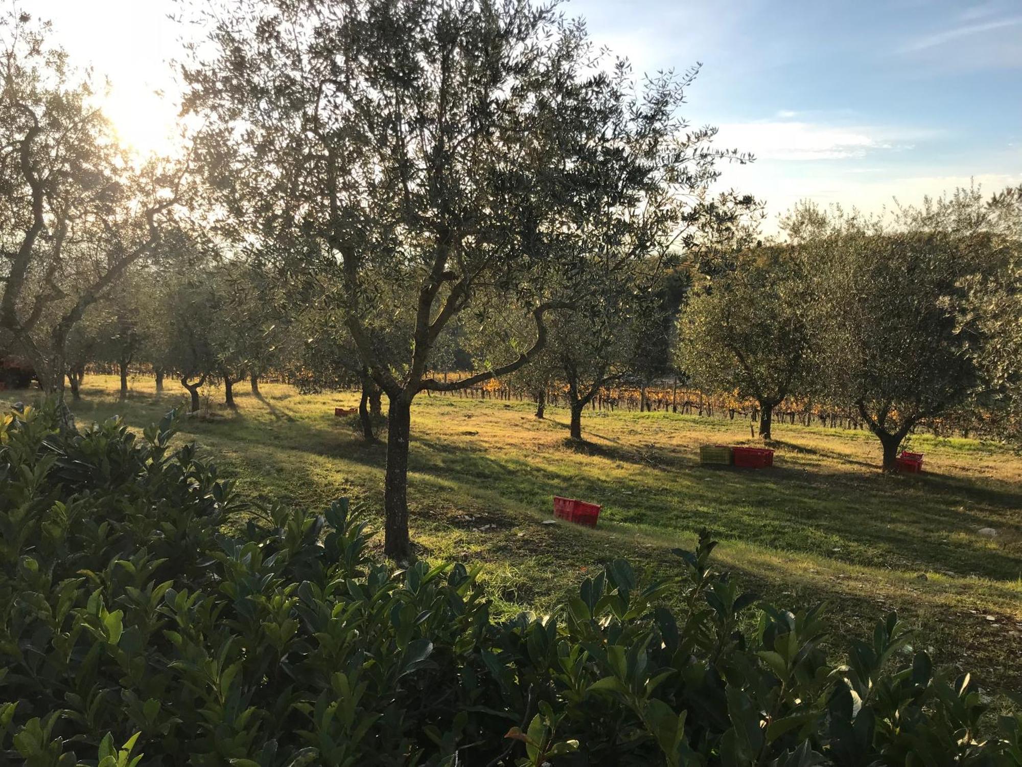 Il Villino Farmhouse 卡斯特利纳－因基安蒂 外观 照片